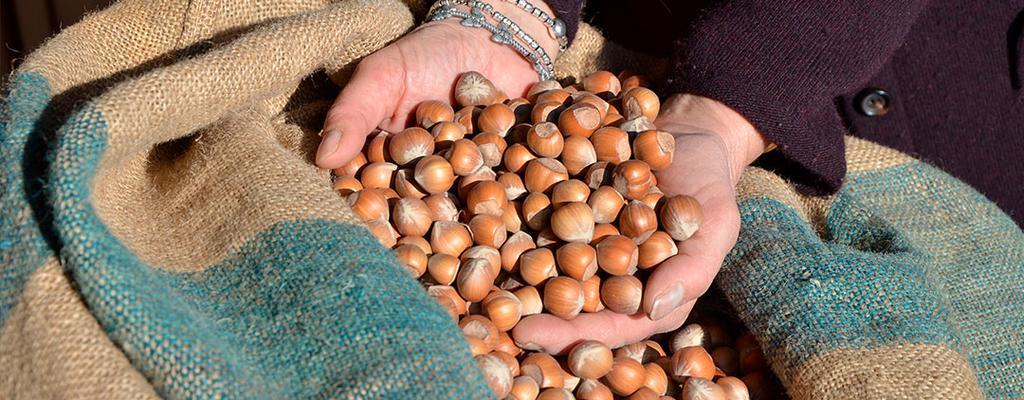La Madonnina Agriturismo Dore アルバ エクステリア 写真